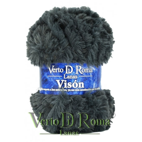 Vison
