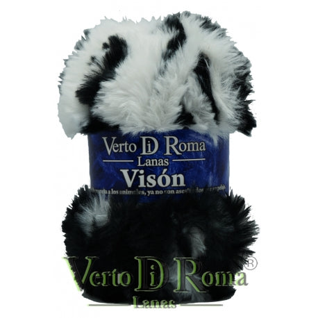 Vison