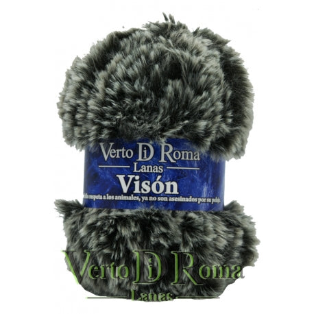 Vison