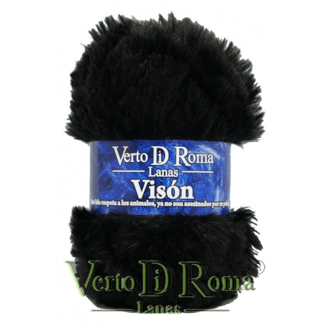 Vison